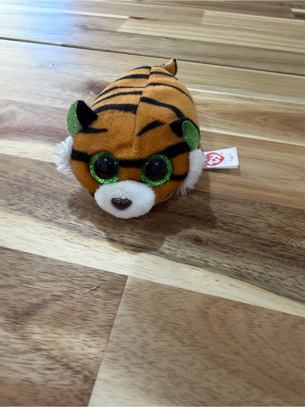 Ty Orange Tiger Tiggy Beanie Boo teeny with Sparkly Green Eyes